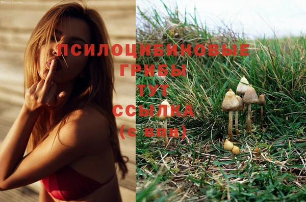 альфа пвп VHQ Магас