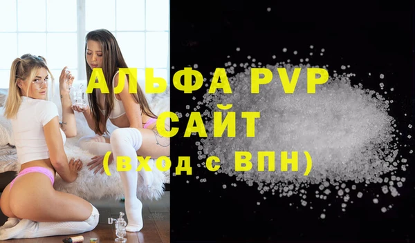 СК Белокуриха