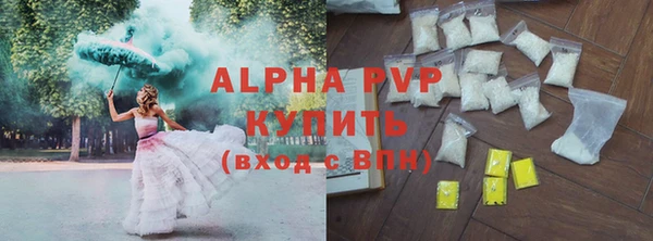 СК Белокуриха