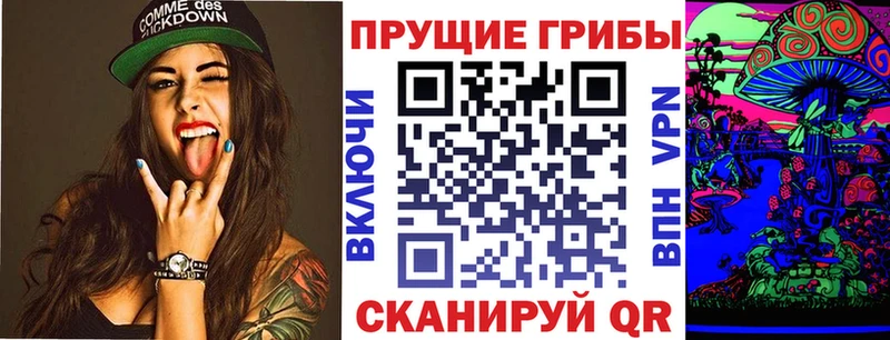 Псилоцибиновые грибы Cubensis  Бирюсинск 