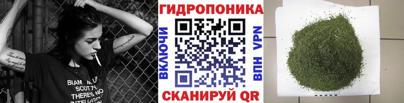как найти закладки  Бирюсинск  МАРИХУАНА ГИДРОПОН 